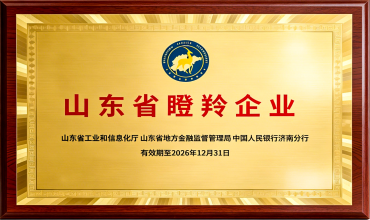 山东省瞪羚企业